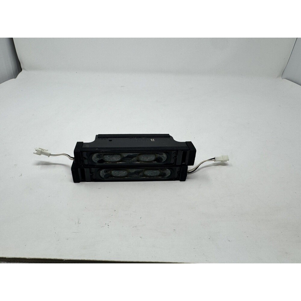 Sony 1-858-963-21 / 1-858-963-11 Speaker Set from a XBR-55X900C